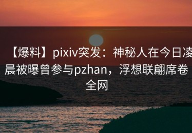 【爆料】pixiv突发：神秘人在今日凌晨被曝曾参与pzhan，浮想联翩席卷全网