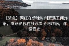 【紧急】网红在傍晚时刻遭遇丑闻炸锅，蘑菇影视在线观看全网炸锅，详情直击