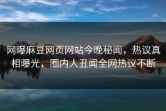 网曝麻豆网页网站今晚秘闻，热议真相曝光，圈内人丑闻全网热议不断