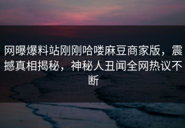 网曝爆料站刚刚哈喽麻豆商家版，震撼真相揭秘，神秘人丑闻全网热议不断