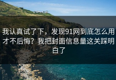 我认真试了下，发现91网到底怎么用才不后悔？我把封面信息量这关踩明白了