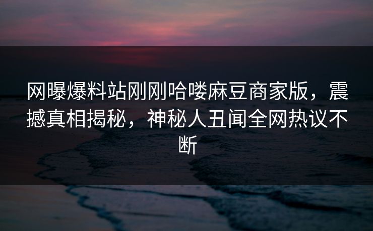 网曝爆料站刚刚哈喽麻豆商家版，震撼真相揭秘，神秘人丑闻全网热议不断