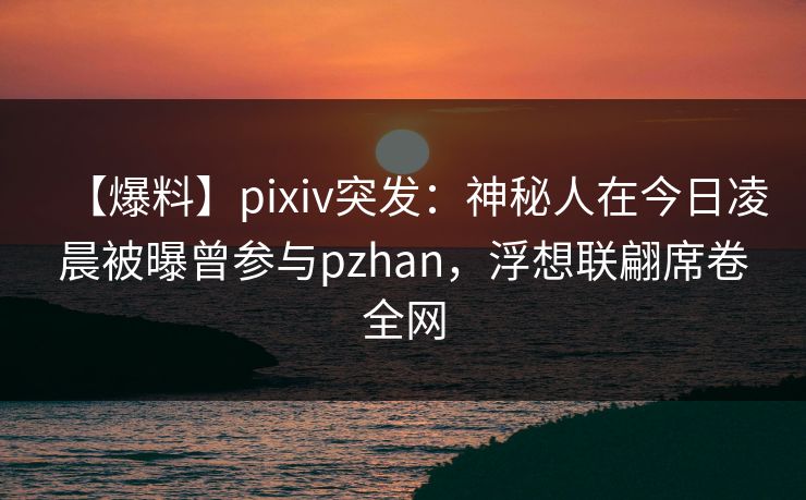 【爆料】pixiv突发：神秘人在今日凌晨被曝曾参与pzhan，浮想联翩席卷全网