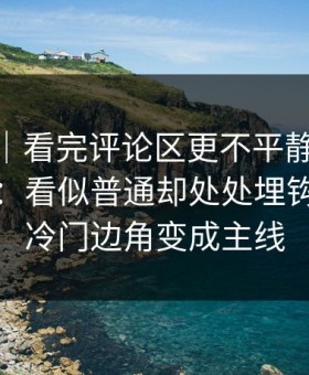 情绪向｜看完评论区更不平静91网在线观看：看似普通却处处埋钩子，把冷门边角变成主线