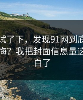 我认真试了下，发现91网到底怎么用才不后悔？我把封面信息量这关踩明白了
