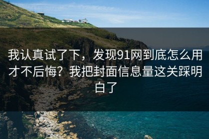 我认真试了下，发现91网到底怎么用才不后悔？我把封面信息量这关踩明白了